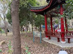 -南汇桃花村
