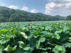 -杭州西湖风景名胜区-钱塘苏小小之墓