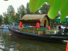 android_upload_pic-北戴河集发农业梦想王国