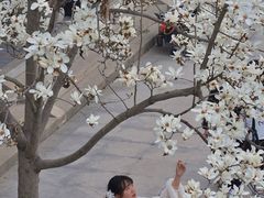 -堤角公园