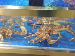 -盒马X会员店(王府井奥莱UP TOWN店)