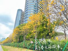 -洲头咀公园