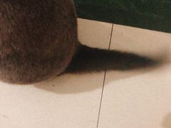 -壹人壹像工作室(购物公园店)