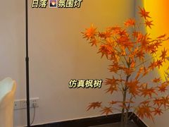 -天河体育中心