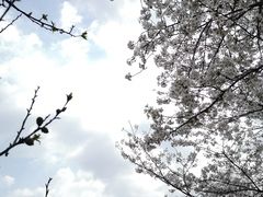 -苏州上方山国家森林公园