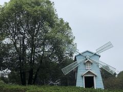 -铁山坪森林公园