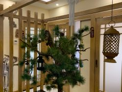 -芳朵美容养生SPA