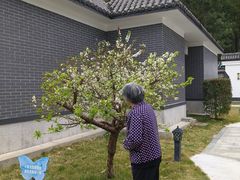 -林丰温泉度假山庄