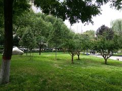 -西北大学(桃园校区)