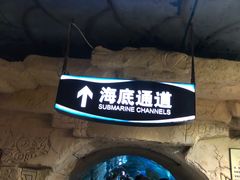 -大连圣亚海洋世界