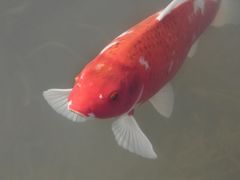 -雅达·阳羡溪山小镇中心