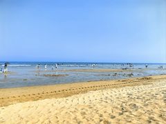 -日照海滨国家森林公园