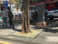 -凯利宾馆