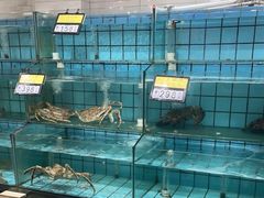 -海岛渔村大酒店(云霄路店)