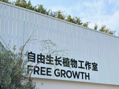 -自由生长植物工作室(深港花卉中心店)
