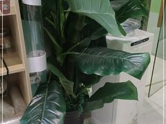 -雨林宠物医院 非犬猫异宠专科