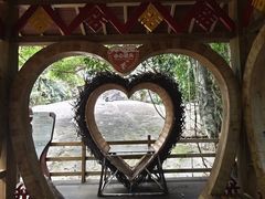 -海南霸王岭国家森林公园