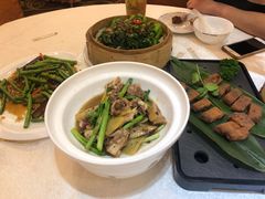 -新好景海鲜酒家(新塘店)