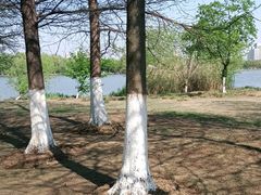 -长广溪湿地公园