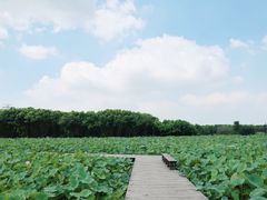 -梁鸿国家湿地公园