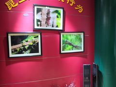 -上海昆虫博物馆