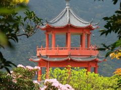 -梧桐山风景名胜区