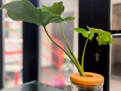 -EATALIA意塔利意式餐厅(鼓楼店)