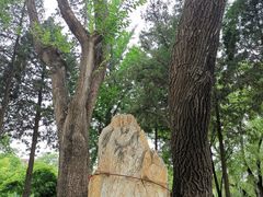 -双榆树公园