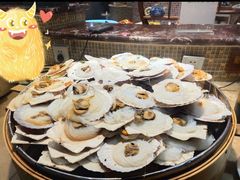 扇贝-吉布鲁牛排海鲜自助(339店)