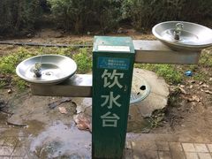 -大兴滨河森林公园