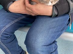 -嘟宝宠物生活馆(白桦林居店)