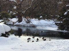 -北海道厅旧本厅舍(旧本庁舎)