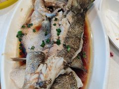-北纬39度天津宴(黑牛城道店)