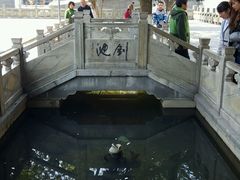-绳金塔