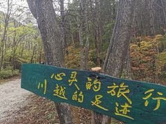 -龙道沟景区