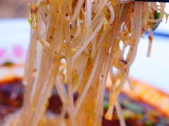 -钟方模白家肥肠粉(春熙店)