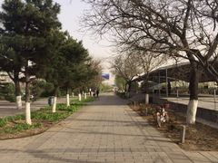 -卢沟桥文化旅游区