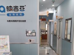 -纳吉亚猫专科动物诊疗中心(蒋宅口分院)