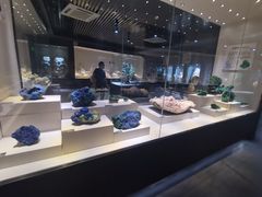 -河南自然博物馆
