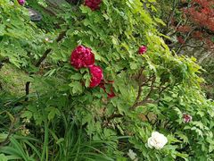 -望湘园·湖南菜(宏伊店)