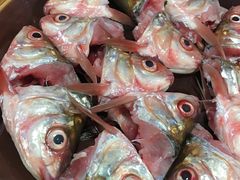 -章记正宗南岗鱼蛋火锅