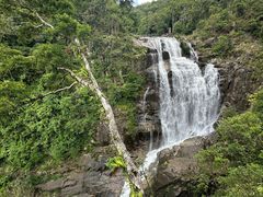 -海南热带雨林国家公园吊罗山景区