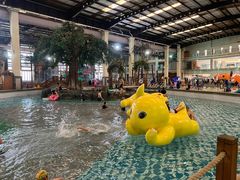 -南宫温泉水世界