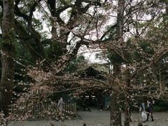 -热田神宫