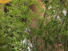 -初蓉丨遇见新川菜(亲贤街荣耀店)