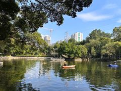 -晓港公园