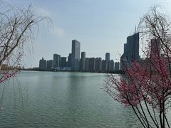 -天鹅湖体育公园