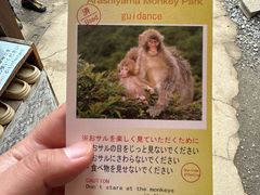 -岚山猴子公园