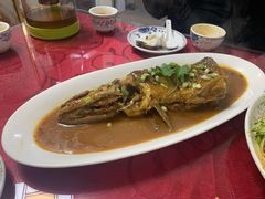 红烧狗鱼-煲来饱去冷水鱼