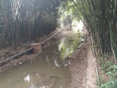 -天赐温泉